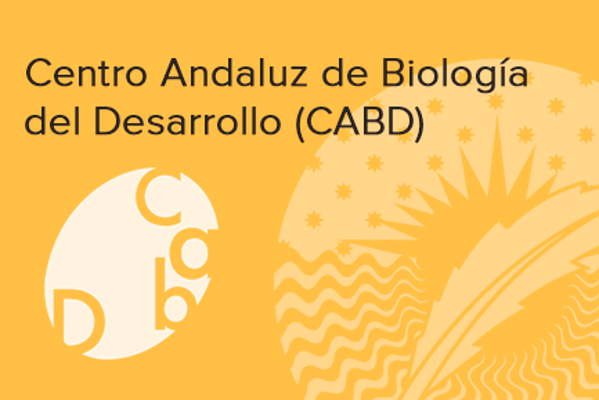 Imagen del Ikerketa zentroak Centro Andaluz de Biología del Desarrollo (CABD)
